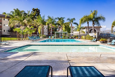 a swimming pool with palm trees and buildings in the background